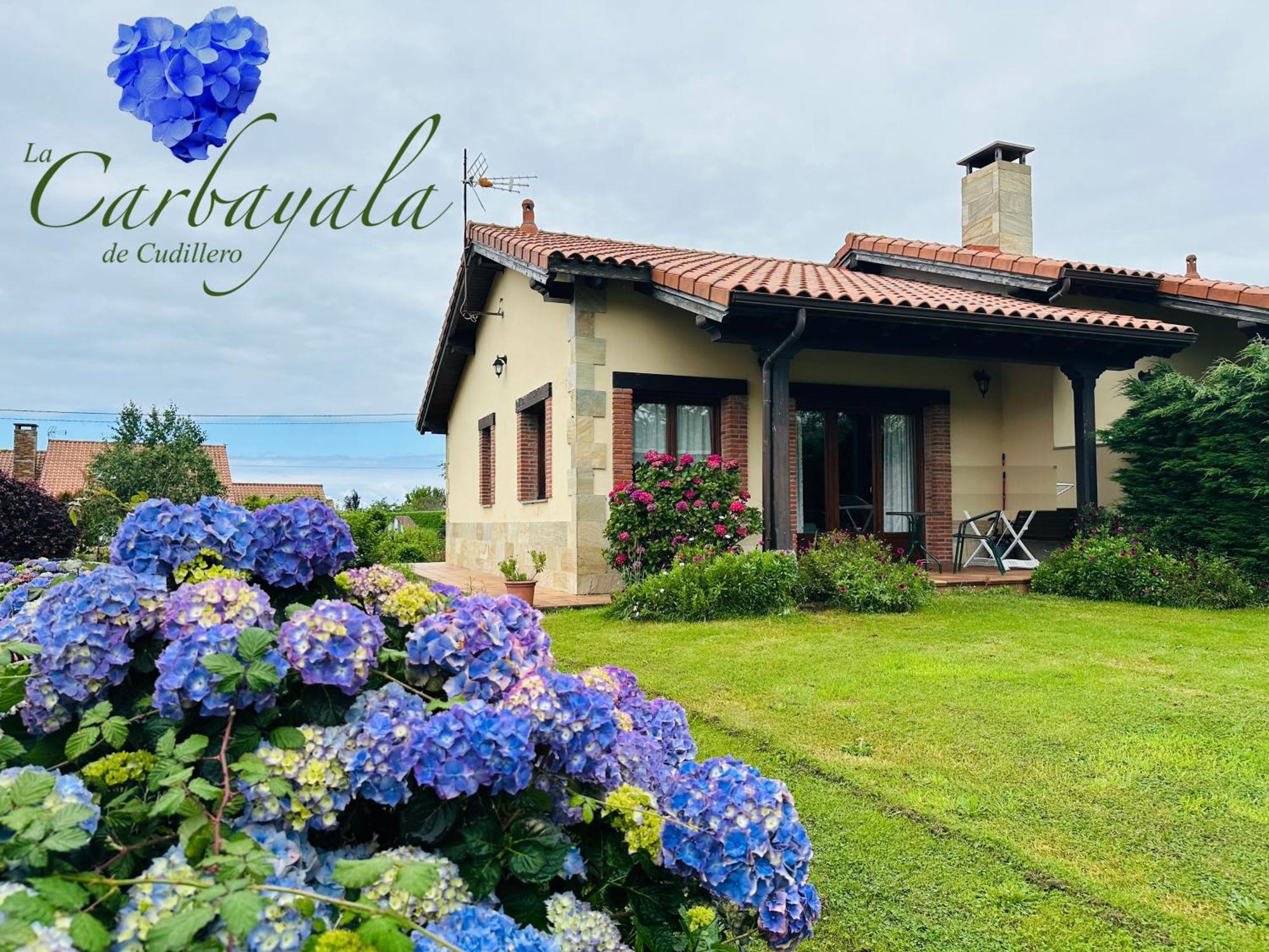 Apartamentos Rurales La Carbayala Oviñana Exterior foto